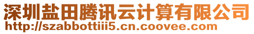 深圳鹽田騰訊云計算有限公司