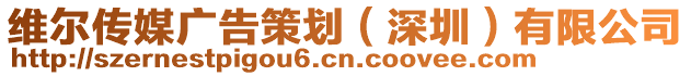 維爾傳媒廣告策劃(深圳)有限公司