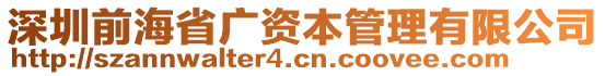 深圳前海省廣資本管理有限公司