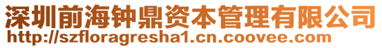 深圳前海鐘鼎資本管理有限公司