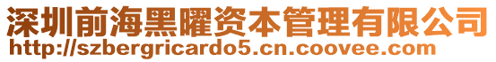 深圳前海黑曜資本管理有限公司