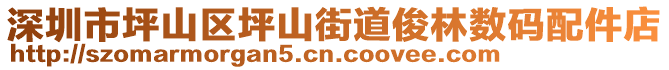 深圳市坪山區坪山街道俊林數碼配件店