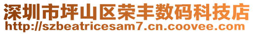 深圳市坪山區(qū)榮豐數(shù)碼科技店
