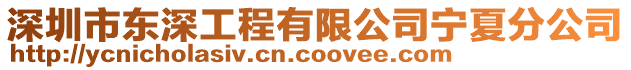 深圳市東深工程有限公司寧夏分公司