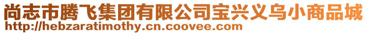 尚志市騰飛集團有限公司寶興義烏小商品城
