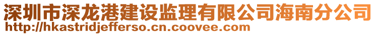 深圳市深龍港建設監理有限公司海南分公司