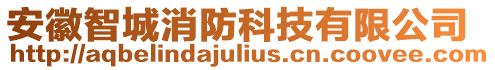 安徽智城消防科技有限公司