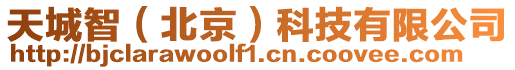 天城智(北京)科技有限公司