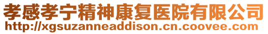 孝感孝寧精神康復醫院有限公司