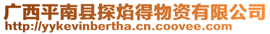 廣西平南縣探焰得物資有限公司