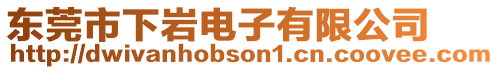 東莞市下巖電子有限公司