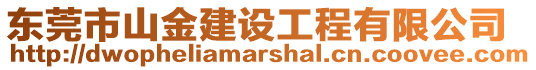 東莞市山金建設工程有限公司