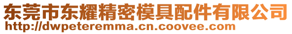 東莞市東耀精密模具配件有限公司