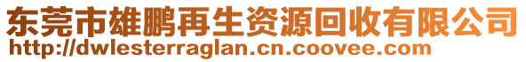 東莞市雄鵬再生資源回收有限公司