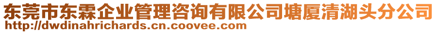 東莞市東霖企業(yè)管理咨詢有限公司塘廈清湖頭分公司