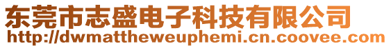 東莞市志盛電子科技有限公司