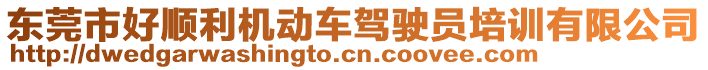 東莞市好順利機(jī)動(dòng)車(chē)駕駛員培訓(xùn)有限公司