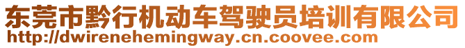 東莞市黔行機(jī)動(dòng)車駕駛員培訓(xùn)有限公司