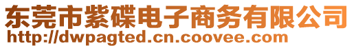 東莞市紫碟電子商務(wù)有限公司