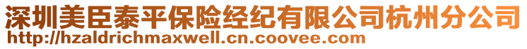 深圳美臣泰平保險(xiǎn)經(jīng)紀(jì)有限公司杭州分公司