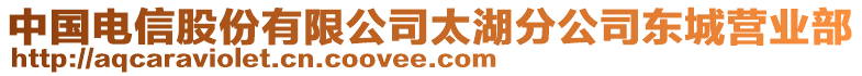 中國(guó)電信股份有限公司太湖分公司東城營(yíng)業(yè)部