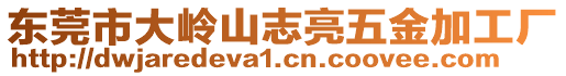 東莞市大嶺山志亮五金加工廠