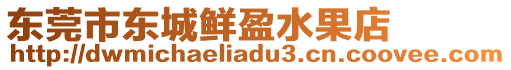 東莞市東城鮮盈水果店