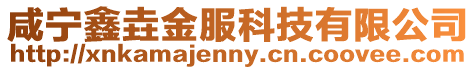 咸寧鑫垚金服科技有限公司