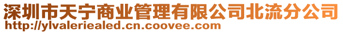 深圳市天寧商業管理有限公司北流分公司