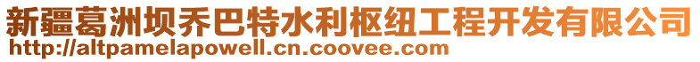 新疆葛洲壩喬巴特水利樞紐工程開發(fā)有限公司