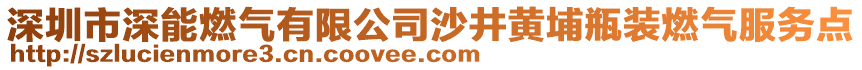 深圳市深能燃?xì)庥邢薰旧尘S埔瓶裝燃?xì)夥?wù)點