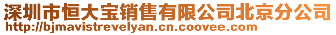 深圳市恒大寶銷(xiāo)售有限公司北京分公司