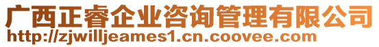 廣西正睿企業(yè)咨詢管理有限公司