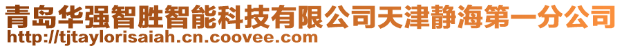 青島華強智勝智能科技有限公司天津靜海第一分公司