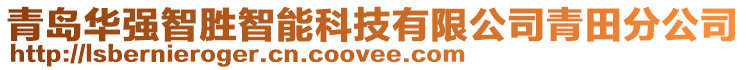 青島華強智勝智能科技有限公司青田分公司