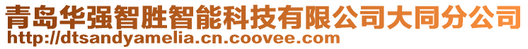 青島華強(qiáng)智勝智能科技有限公司大同分公司