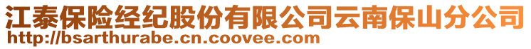 江泰保險經(jīng)紀股份有限公司云南保山分公司