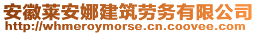 安徽萊安娜建筑勞務有限公司