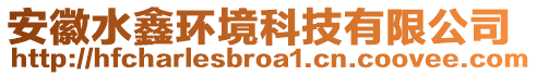安徽水鑫環境科技有限公司