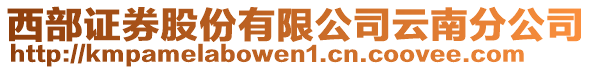 西部證券股份有限公司云南分公司