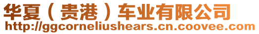 華夏（貴港）車(chē)業(yè)有限公司