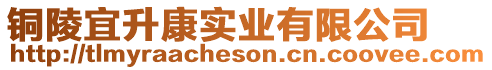 銅陵宜升康實業(yè)有限公司