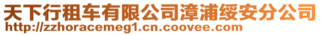 天下行租車(chē)有限公司漳浦綏安分公司
