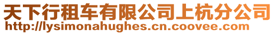 天下行租車有限公司上杭分公司