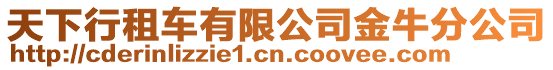 天下行租車有限公司金牛分公司