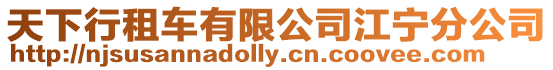 天下行租車(chē)有限公司江寧分公司