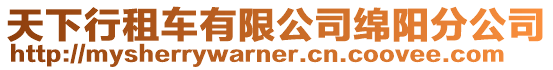 天下行租車有限公司綿陽分公司