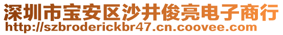 深圳市寶安區(qū)沙井俊亮電子商行