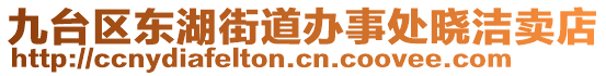 九台区东湖街道办事处晓洁卖店