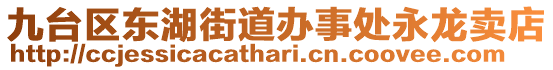 九臺區(qū)東湖街道辦事處永龍賣店